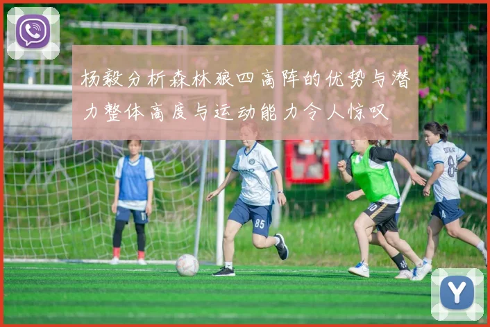 杨毅分析森林狼四高阵的优势与潜力整体高度与运动能力令人惊叹